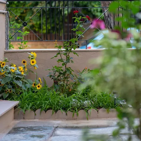 Sofia's House فولوس