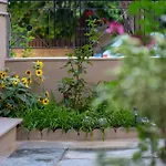 Sofia's House וולוס
