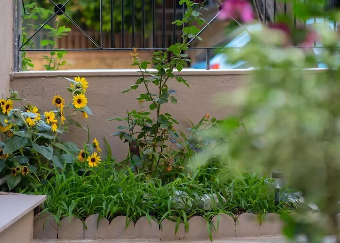 Sofia's House Vólos